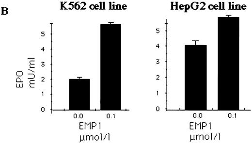Fig. 6. (A) K562 erythroleukemia cells express EPO. Total protein cell lysates (10 μg/lane) from K562 cells, from rhEPO stimulated BFU-E colonies, and from HepG2 cells were analyzed by immunoblotting with anti-EPO antibodies. rhEPO (1 U/lane) is shown on lane 1. (B) K562 cells secrete EPO in response to stimulation with EMP. EMP1 was used (0.1 μmol/L represents optimal stimulatory concentration) for stimulation of K562 and HepG2 cells (5 × 106 cells/mL) in serum-free media for 16 hours. The EPO concentration was measured in supernatant by ELISA29 (EMP1 does not crossreact with anti-EPO antibodies). Error bars represent EPO concentration ± standard deviation.