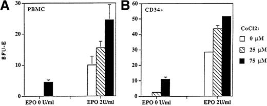 Fig. 7. BFU-E colonies derived from PBMCs (A) and CD34+ (B) cells were stimulated with cobalt chloride in semisolid cultures. Cobalt chloride stimulated formation of BFU-E colonies derived from PBMCs (2 × 105/mL) and CD34+ cells (104/mL) in the absence (P < .01) and in the presence of suboptimal concentration of rhEPO (2 U/mL; P < .05) in semisolid cultures. Colony numbers are expressed as mean ± standard deviation.