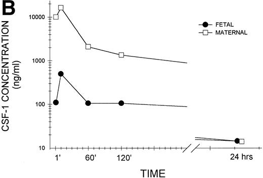 Fig. 1. Transplacental transfer of human recombinant CSF-1. Gestational day-17 pregnant mice were injected intravenously with human recombinant CSF-1 and killed at the indicated times postinjection, and human CSF-1 levels were measured by a specific RIA in (A) whole fetuses and placentas, with at least five of each measured at each time point in this one of several representative experiments, and (B) fetal sera pooled from individual litters at each time point and the corresponding maternal serum, with the data representing one of several experiments. Where indicated, placental tissue CSF-1 concentrations differed from those measured in fetal tissues at #P = .06, $P< .01, and *P < .001, respectively. Multiple comparisons over time showed differences, where indicated, ofaP < .025, bP < .005, andcP < .001, respectively, versus 1 minute anddP < .001 versus 10 minutes.