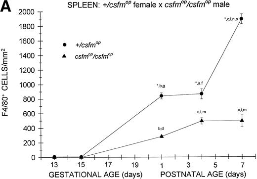 Fig. 4. Appearance of F4/80-positive cells in fetal and neonatal spleen. Tissues were stained, positive cells were quantified, and results are expressed for +/csfmop (•) andcsfmop/csfmop (▴) offspring after matings of (A) +/csfmop female ×csfmop/csfmop male and (B)csfmop/csfmop female ×+/csfmop male mice as in Fig 2. Where indicated,+/csfmop differed fromcsfmop/csfmop at #P < .01 and *P < .001, respectively. Results of multiple comparisons over time, where indicated, showed aP < .025,bP < .01, and cP < .001 versus day13; dP = .08, eP< .05, fP < .025, gP < .01, hP < .005, and iP < .001 versus day 15; jP < .01 andkP < .001 versus day 18; lP < .05, mP < .025, and nP < .001 versus postnatal day 1; and oP < .005 versus postnatal day 4, respectively.