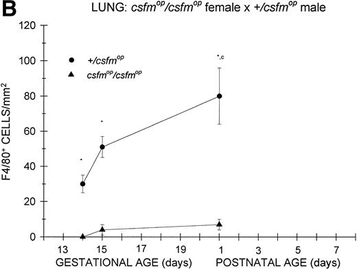 Fig. 6. Appearance of F4/80-positive cells in fetal and neonatal lung. Tissues were stained, positive cells were quantified, and results are expressed for +/csfmop (•) andcsfmop/csfmop (▴) after following matings of (A) +/csfmop female ×csfmop/csfmop male and (B)csfmop/csfmop female ×+/csfmop male mice as in Fig 2. Because of technical difficulties, Fig 6b includes only data through postnatal day 1. Where indicated, +/csfmop differed fromcsfmop/csfmop at *P< .001. Results of multiple comparisons over time, where indicated, showed aP = .07 andbP < .001 versus day13;cP < .025 versus day 14; dP< .005 and eP < .001 versus day 15;fP < .05 and gP < .001 verus day 18; and hP < .025 versus postnatal day 4, respectively.