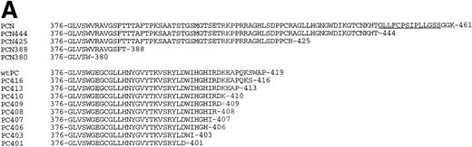 Fig. 1. (A) The alignment of carboxyl-terminal amino acids of wtPC, PCN, and their deletion mutants. The carboxyl-terminal amino acids are indicated by standard one-letter designations. Hydrophobic regions of PCN are underlined. The hydropathy plot was performed with the LASERGENE Navigator (DNASTAR Inc, Madison, WI) determined by the methods of Kyte and Doolittle.34 (B) Northern blot analysis of the stably transfected CHO cells. Total RNA (5 μg) from each cell line was separated by 1% formaldehyde-agarose gel electrophoresis, transferred to a Zeta-Probe membrane (Bio-Rad), and hybridized with 32P-labeled PC cDNA probe.4