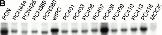 Fig. 1. (A) The alignment of carboxyl-terminal amino acids of wtPC, PCN, and their deletion mutants. The carboxyl-terminal amino acids are indicated by standard one-letter designations. Hydrophobic regions of PCN are underlined. The hydropathy plot was performed with the LASERGENE Navigator (DNASTAR Inc, Madison, WI) determined by the methods of Kyte and Doolittle.34 (B) Northern blot analysis of the stably transfected CHO cells. Total RNA (5 μg) from each cell line was separated by 1% formaldehyde-agarose gel electrophoresis, transferred to a Zeta-Probe membrane (Bio-Rad), and hybridized with 32P-labeled PC cDNA probe.4