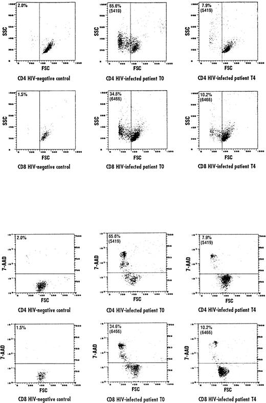 Fig. 4. Representative cytofluorographic experiment of apoptotic CD4 and CD8 cells assessed by evaluating FSC and SSC parameters. Apoptotic cells are represented as a function of both parameters. (A) Represents FSC/SSC lymphocyte compartments in an HIV-negative control and an HIV-positive individual at baseline (T0) and after 150 days of L-carnitine treatment (T4). A shift to a lower FSC/higher SSC was observed in the HIV-positive individual compared with the normal control, but L-carnitine treatment shifted FSC/SSC parameters to the levels observed in the HIV-negative control. Accordingly, CD4 and CD8 cells in the HIV-positive individual at baseline (T0) with decreased FSC were precisely those that incorporated 7-AAD (B). After 150 days of L-carnitine treatment (T4), CD4 and CD8 cells with higher FSC did not incorporate 7-AAD, as seen in the normal individual. The horizontal bar represents the threshold above which 7-AAD staining was considered positive.