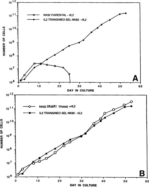 Fig. 2. (A) Proliferation of P-NK-92 and selected TR-IL-2-NK-92 in cultures not supplemented with exogenous IL-2. For culture of P-NK-92 cells, exogenous IL-2 was removed just before day 0. One of 2 experiments performed is shown. (B) Proliferation of TR-IL-2-NK-92 cells and NK-92 cells transduced with the retroviral vector containing the IRAP gene as control. The latter were IL-2–dependent and were cultured in the presence of exogenous IL-2. Note that the growth rates of transduced experimental and control NK-92 cells were similar.