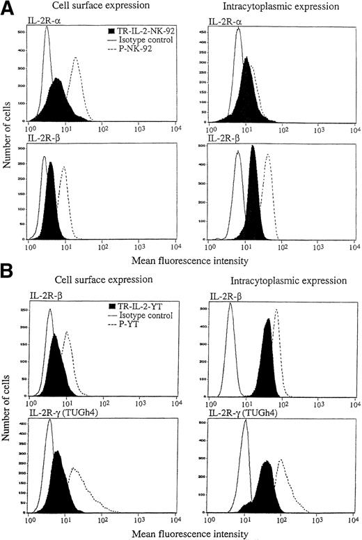 Fig. 6. IL-2R expression on the parental and IL-2 gene–transduced NK cell lines as determined by flow cytometry. Nonpermeabilized or permeabilized cells were stained with the appropriate antibodies for IL-2 α, β, and γ chains and examined by flow cytometry. One representative experiment of 3 performed is shown. (A) NK-92 cells, (B) YT cells.