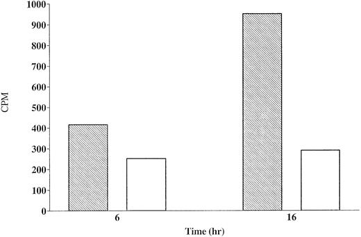 Fig. 7. Synthesis of Fas by CX-1 and MIP-101 cells. CX-1 (□) and MIP-101 (▧) cells were cultured in methionine-free medium for 6 or 16 hours with 300 μCi 35S-methionine. Cells were lysed with Triton X-100 and the lysates were immunoprecipitated sequentially with goat IgG and goat anti-Fas IgG antibody. Radioactivity in aliquots (one fifth of the total sample) of each immunoprecipitated sample was determined by scintillation. Note that Fas synthesis is greater for MIP-101 cells than for CX-1 cells (P < .05). Shown are mean values of a single experiment. Similar results were obtained in two additional studies.