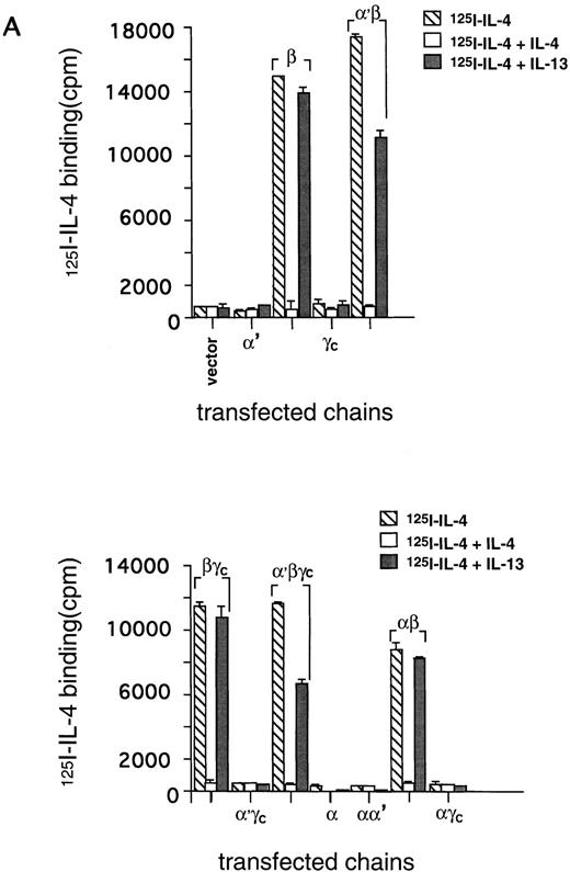 Fig. 1. 125I–IL-4 binding to CHO-K1 cells transfected with IL-13Rα′, IL-4Rβ, and γc. cDNA for various receptor chains (2 μg/chain) was transfected in CHO-K1 cells (1 × 106) by using Lipofectamine reagent for 48 hours. For IL-4 binding assay, 1 × 106 cells were incubated with 100 pmol/L of125I–IL-4 with or without a 200-fold molar excess of unlabeled IL-4 or IL-13. Binding assays were performed on two different occasions. Cell bound radioactivity was determined as described in Materials and Methods. (A) To determine binding affinity, transfected cells were incubated with 100 pmol/L of 125I–IL-4 with or without various concentrations of unlabeled IL-4. Scatchard data were analyzed by the LIGAND program (B). In four experiments, the binding data were fitted with only one site model.