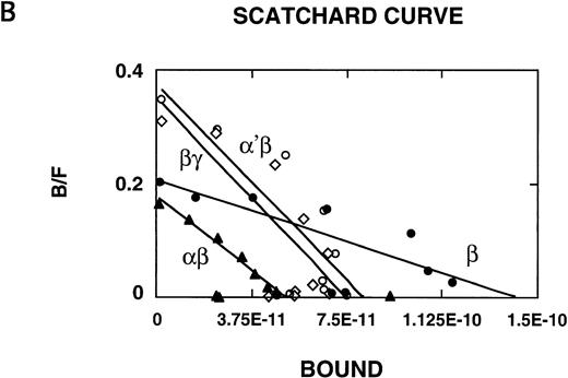 Fig. 1. 125I–IL-4 binding to CHO-K1 cells transfected with IL-13Rα′, IL-4Rβ, and γc. cDNA for various receptor chains (2 μg/chain) was transfected in CHO-K1 cells (1 × 106) by using Lipofectamine reagent for 48 hours. For IL-4 binding assay, 1 × 106 cells were incubated with 100 pmol/L of125I–IL-4 with or without a 200-fold molar excess of unlabeled IL-4 or IL-13. Binding assays were performed on two different occasions. Cell bound radioactivity was determined as described in Materials and Methods. (A) To determine binding affinity, transfected cells were incubated with 100 pmol/L of 125I–IL-4 with or without various concentrations of unlabeled IL-4. Scatchard data were analyzed by the LIGAND program (B). In four experiments, the binding data were fitted with only one site model.
