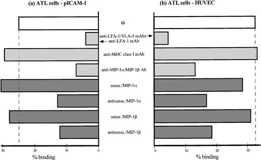Fig. 4. Adhesion of peripheral ATL cells to IL-1–activated HUVECs and purified ICAM-1. A proportion of ATL cells were transfected with sense or antisense oligonucleotides of MIP-1β and MIP-1α and preincubated for 24 hours at 37°C. Another group of ATL cells were pretreated with a mixture of anti–MIP-1α and anti–MIP-1β Abs for 4 hours at 37°C. Adhesion assay of ATL cells to purified ICAM-1 (a) or IL-1–activated HUVECs (b) was performed in the presence or absence of indicated adhesion-blocking MoAbs (10 μg/mL). Data are expressed as the mean percentage of bound cells from a representative experiment of 4 patients.