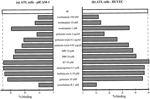 Fig. 5. Effects of multiple signaling inhibitors on adhesion of peripheral ATL cells to IL-1–activated HUVECs and purified ICAM-1. ATL cells were pretreated with or without indicated concentrations of multiple inhibitors of intracytoplasmic signaling to purified ICAM-1 (a) and IL-1–activated HUVECs (b). Adhesion assay was performed as described in the Materials and Methods. Data are expressed as the mean percentage of bound cells from a representative experiment of 4 patients.