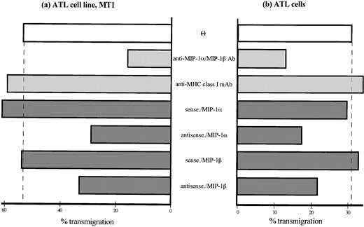 Fig. 8. Transmigration of ATL cells through IL-1–activated HUVECs. Transmigration of ATL cells was assessed in 3-μm pore, 12-well microchemotaxis chambers precoated by IL-1β–activated HUVECs for 48 hours at 37°C. An ATL cell line MT1 (a) and ATL cells from patients (b), both labeled with 51Cr, were placed in the insert wells. After incubation for 2 hours at 37°C, cells that have migrated into each of the lower wells were retrieved and dissolved and γ-emissions of the well contents were determined. Data are expressed as the mean percentage of transmigrated cells from a representative experiment.