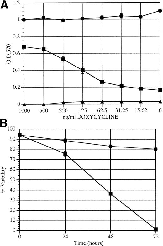 Fig. 3. Effect of doxycycline-induced BCR/ABL expression on factor-independent growth. (A) MTT proliferation assay on (▪) TonB210.1, (•) B210 (constitutively expressing BCR/ABL), or (▴) parental BaF3 cells grown for 3 days with varying concentrations of doxycycline in growth media without IL-3. OD 570 nm is directly related to proliferation. (B) Cell viability of TonB210.1 cells over time upon doxycycline withdrawal. Cell viability was assayed by trypan blue exclusion over a 3-day period following removal (−dox; ▪) or continuation (+dox; •) of doxycycline in the growth media.