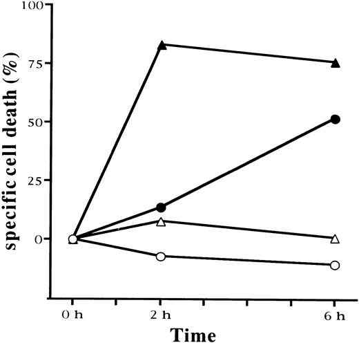 Fig. 2. Apoptosis of Fas-positive and Fas-negative ATL cells induced by monoclonal antibody against Fas antigen and adriamycin. Fas-positive (•, ▴) and Fas-negative (○, ▵) ATL cells were cultured with antibody against Fas antigen (CH11; ▴, ▵) or adriamycin (4 μmol/L; •, ○). Apoptosis was detected by uptake of propidium iodide at 0, 2, and 6 hours after incubation. Specific cell death was calculated as described in the Materials and Methods.
