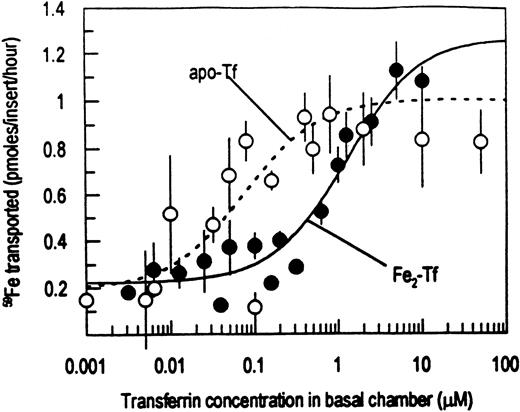 Fig. 1. Caco-2 cells grown in bicameral chambers and depleted of serum proteins were offered 1 μmol/L 59Fe ascorbate in the apical chamber with the basal chamber containing either 0 to 50 μmol/L apotransferrin (○) or 0 to 10 μmol/L ferri-transferrin (•). The cells were incubated at 37°C for 1 hour and the moles of59Fe transported into the basal chamber were determined. Presented are the mean ± SD of triplicates for three experiments. When not apparent, the error bars are smaller than the symbols. The curves were fit to the data with Michaelis-Menton kinetics using nonlinear regression analysis.