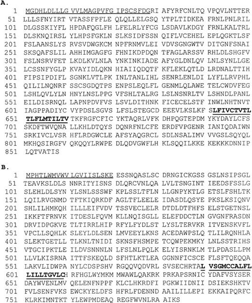 Fig. 1. (A) Amino acid sequence of TIL3. The predicted signal peptide (residues 1 to 30) is underlined. The predicted transmembrane segment (residues 642 to 660) is in bold and underlined. (B) Amino acid sequence of TIL4. The predicted signal peptide (residues 1 to 20) is underlined. The predicted transmembrane segment (residues 590 to 609) is in bold and underlined.
