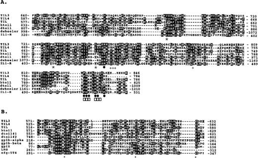 Fig. 2. (A) Alignment of the amino acid sequence of the cytoplasmic domains of the IL-1R and the Toll/IL-1R–like family members: Drosophila wheeler and Toll, human Toll, TIL, TIL3, and TIL4. Alignments were performed using the Clustal algorithm49 and Boxshade (http://ulrec3.unil.ch/software/BOX_faq.html). Sequence identity (black) or similarity (gray) between at least 40% of the sequence members are shaded. Inactivating dToll mutations are marked with an asterisk (*).13 Critical amino acid residues for IL-1R activation of IL-2 are denoted by a solid circle (•),1242 for IL-1R activation of IL-8 by a cross (+),45 and IL-1R activation of NF-κB by a box (□).43 (B) Alignment of the extracellular LRR terminal-flanking sequences of the LRR proteins TIL3, TIL4, TIL, hToll, dToll, human platelet glycoprotein 1b-α (Gp1b-α) and 1b-β (gp1b-β),2747 platelet glycoprotein IX (gpIX),28 leucine-rich glycoprotein (LRG),29and the oncofetal antigen 5T4 (ofg-5T4).30 The extracellular region of dToll contains two cysteine-rich LRR domains (dToll #1 and dToll#2). Sequence identity (black) or similarity (gray) between at least 40% of the sequence members are shaded. The mutations responsible for the dominant, constitutively active dToll proteins are denoted by asterisk (*) and are located in the second dToll terminal repeat.13