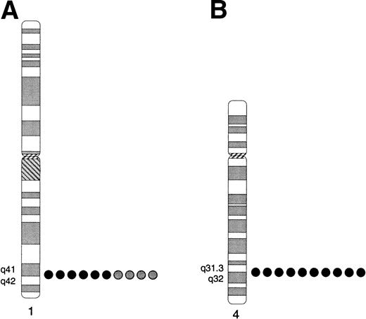 Fig. 4. Localization of TIL3 and TIL4 to human chromosome regions 1q41-q42 and 4q31.3-q32, respectively, by FISH. (A) TIL3. Summary of the locations of hybridization signals observed among 10 mitotic cells hybridized with plasmid TX667U3288L. Signals were observed in the 1q41-q42 region on both homologs (black circles) of 6 cells and only a single homolog (gray circles) in 4 cells, for an overall efficiency of 80%. Signals were not observed consistently at any other location. (B) TIL4. Summary of the locations of FISH signals observed among 10 mitotic cells hybridized with BAC 21K16, which contains TIL4. Hybridization signals were observed at 4q31.3-q32 on both homologs in each cell.