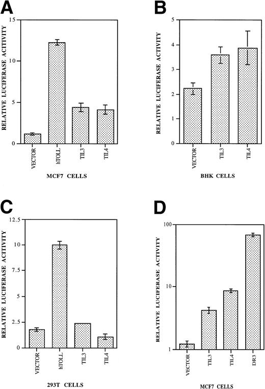 Fig. 5. NF-κB activation by hToll, TIL3, and TIL4. Expression plasmids encoding Fas-hToll, Fas-TIL3, Fas-TIL4, or empty vector were cotransfected with a β-galactosidase (LacZ) expression plasmid into different cell lines in triplicate. Forty-eight hours later cells were lysed from two of the wells and luciferase activity measured as described previously.23 Cells from the third well were fixed with glutaraldehyde (0.5% in phosphate-buffered saline) and stained with X-gal (5-bromo-4-chloro-3-indoxyl-b-D-galactosidase) to obtain relative transfection efficiency.