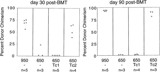 Fig. 3. Tc2-type donor CD8+ T cells abrogate marrow graft rejection. Host B6 (H-2b) mice were irradiated at 950 or 650 cGy; all mice received 1 × 107 TCD bone marrow cells from B6D2F1 (H-2b/d) donor mice. Engraftment control mice (950/−) and rejection control mice (650/−) received only the donor bone marrow at the time of transplant; other groups received additional donor CD8+ T cells (1 × 107cells) of Tc1-type (650/Tc1) or Tc2-type (650/Tc2). Peripheral blood lymphocytes were isolated on days 30 and 90 posttransplant and stained with H-2b FITC (common to both donor and host cells) and H-2d PE (specific for donor cells); the percentage of donor and host chimerism was then determined by flow cytometry. Each data point represents the donor chimerism result for an individual animal.
