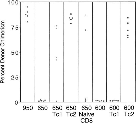 Fig. 4. Tc2-type donor CD8+ T cells are enriched in their ability to abrogate marrow graft rejection. Host B6 (H-2b) mice were irradiated at 950, 650, or 600 cGy; all mice received 1 × 107 TCD bone marrow cells from B6D2F1 (H-2b/d) donor mice. Engraftment control mice (950/−) and rejection control mice (650/−) received only the donor bone marrow at the time of transplantation; other groups received additional in vitro-generated donor CD8+ T cells (1 × 107cells) of Tc1-type (650/Tc1, 600/Tc1) or Tc2-type (650/Tc2, 600/Tc2) or additional unmanipulated donor CD8 cells (650/naive CD8). Each treatment group consisted of 5 mice. Peripheral blood lymphocytes were isolated on day 41 posttransplant and stained with H-2bFITC (common to both donor and host cells) and H-2d PE (specific for donor cells); the percentage of donor and host chimerism was then determined by flow cytometry.