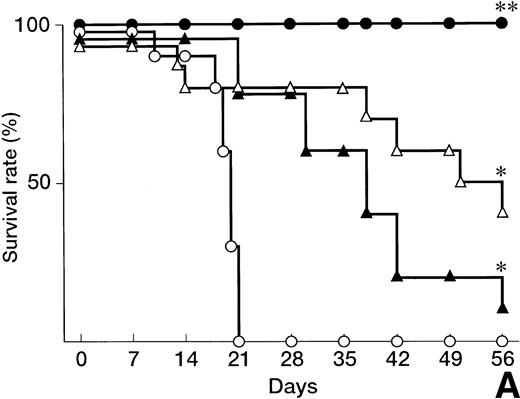 Fig. 1. Prevention of lethal acute GVHD by anti-FasL and/or anti-TNFα antibodies. Lethal acute GVHD was induced by IV injection of B6 splenocytes into CBF1 mice on days 0 and 7. Ten mice in each group received IP 2 mg anti-FasL MoAb (▴), 1 mg anti-TNFα MoAb (▵), 2 mg anti-FasL MoAb and 1 mg anti-TNFα MoAbs (•), or control IgG (○) on days 0, 4, 8, and 12. Survival (A) was monitored every day until day 56. Body weight (B) was measured at the indicated days is indicated as the mean ± standard deviation (SD) of 5 to 10 mice. In (B), the body weight of age-matched normal CBF1 (◊) is also plotted. In (A), *P < .05 and **P < .01 compared with the GVHD group. In (B), *P < .05 compared with the normal CBF1 group.