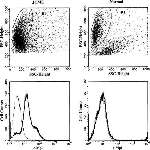 Fig. 6. Comparison of c-Mpl expression on CD13+cells generated by JCML or normal CD34+CD38high cells in the presence of SCF + GM-CSF. The cells generated by JCML or normal CD34+CD38high cells on day 12 were stained with anti–c-Mpl MoAb (—) or mouse IgG1, (---), and then stained with FITC-conjugated GAM. After treatment with mouse serum, the cells were stained with PE-conjugated anti-CD13 MoAb. Surface-marker expression on the cells in R1 region was analyzed.
