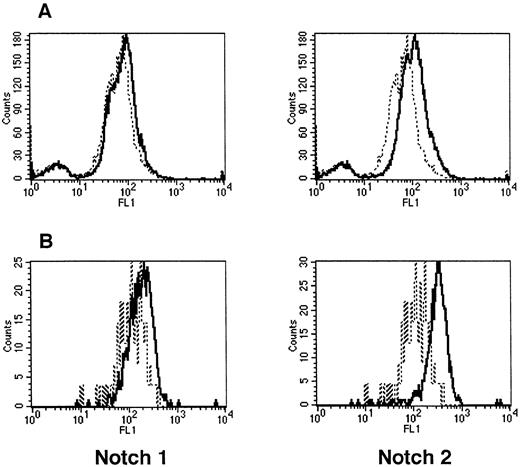 Fig. 2. Expression of Notch-1 and Notch-2 by mouse BM cells. (A) Fluorescence histograms of Ficoll-Hypaque–separated marrow cells stained with MoAbs that recognize Notch-1 (18G) or Notch-2 (BHN6). (B) Fluorescence histograms of precursor cells (Lin−Sca-1+c-kit+) stained with the same MoAbs as in (A). The x-axis represents log fluorescence intensity and the y-axis represents cell number. The solid line represents staining with 18G or BHN6 antibodies and the dashed line represents staining with an isotype-matched nonspecific antibody.