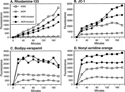 Fig. 3. Determination of P-gp–mediated efflux of four fluorescent probes. Each probe was incubated with the parental K562 or MDR1-transfected cell line at 37°C, and mean fluorescence intensity was measured as a function of time. Verapamil (50 μg/mL) was added to each sample at the time of washing to prevent efflux before fluorescence measurement. When included as a modulator of efflux, either cyclosporin A (20 μg/mL) or verapamil (50 μg/mL) was present during the incubation period, as well as during analysis. Symbols in each panel represent parental K562 cells (□, ▪) or MDR1 transfected K-562 cells (○, •); open symbols represent uptake in the absence of modulators, while closed symbols indicate that either cyclosporin A (B and C) or verapamil (A and D) was present during probe loading.