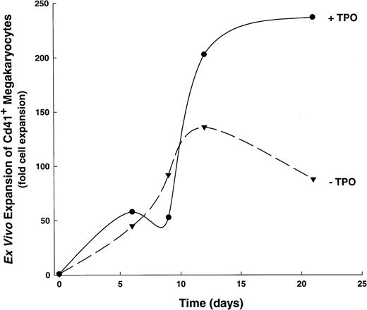 Fig. 3. Developmental kinetics of CD41+ cell expansion. A single, representative kinetics experiment is shown out of six total experiments. (▾), CD41+ cell expansion in 1,6,11,S; (•), CD41+ cell expansion in IL-1,6,11,S,T.