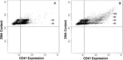 Fig. 4. Antigenic expression and DNA content of cytokine-expanded human megakaryocytic cells. Developing megakaryocytes analyzed by two-color flow cytometry, evaluating glycoprotein IIb/IIIa (CD41) antigen expression (FITC; abcissa) and DNA content (propidium iodide; ordinate). The vertical quadrant marker in the flow diagrams represents upper limit of nonspecific fluorescence, using an isotype-specific inappropriate antibody as a control.