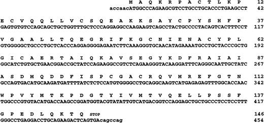 Fig. 1. (A) The nucleotide and predicted amino acid sequences of human CDD (GenEMBL Accession no. AJ000474). (B) Multiple alignment of CDD from different species as indicated: BACSU; Bacillus subtilis (P19079), ECOLI; Escherichia coli (P13652), HAEIN; Haemophilus influenzae, (P44325); HUMAN; Homo sapiens (P32320), MYCGE; Mycoplasma genitalium(P47298), MYCPI; Mycoplasma pirum (P47718), MYCPN;Mycoplasma pneumoniae (P75051), BRUMA; Brugia malayi, (U80980). Exposed regions indicate the active site domains and arrows denote the conserved cysteines/histidines involved in the Zn binding. The conserved glutamate referred to in the text is in bold within the first exposed region. Asterisks represent conserved residues found in all members of the protein family.