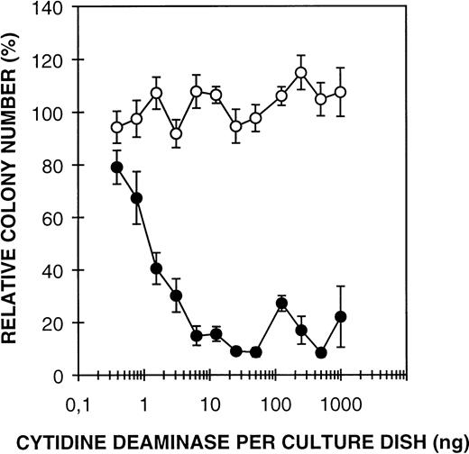 Fig. 3. Effect of rhCDD on mouse bone marrow GM-CFC in the presence (•) or absence (○) of 10-4 mol/L thymidine. The cells were cultured for 7 days in a GM-CFC agar assay with 10% CM 5637 as stimulator. Colonies of more than 50 cells were counted. Mean values ± standard deviation (SD) are given as percent of controls.