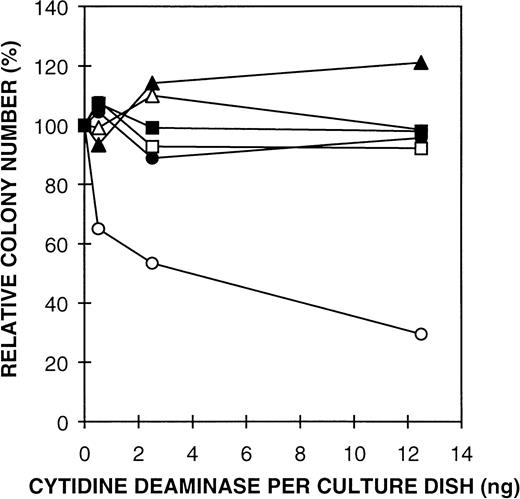 Fig. 5. Effect of mutant rhCDD on mouse bone marrow GM-CFC. Thymidine (10-4 mol/L) was added to all culture plates in the GM-CFC assay. The colonies (≥50 cells) were counted after 7 days in culture with 10% CM 5637 as stimulator. Mean values ± SD are given as percent of controls. Symbols: CDD truncated 12 amino acids from the C-terminus (□), Mutant E67D (•), Mutant E67Q (▵), Mutant E67A (▴), rhCDD (○), and extract from E coli BL21 transformed by the vector (pT7-SC) (▪).