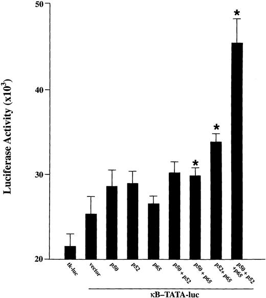 Fig. 3. Activation of a κB-TATA-luciferase reporter plasmid after overexpression of NF-κB factors in TF-1 cells. A total of 0.5 μg of plasmids expressing p50, p52, or p65 was cotransfected with 0.5 μg of κB-TATA-luciferase reporter plasmid into TF-1 cells separately or in combination. A tκ-TATA-luciferase reporter lacking κB enhancer (tκ-luc, 0.5 μg) was used as negative control. The total amount of transfected DNA was kept constant by adding appropriate amounts of expression vector without insert. At 48 hours after transfection, cells were collected for luciferase assay. Results are expressed as mean ± standard error of mean (SEM) (× 103 cpm) for nine samples from three experiments. *Indicates a significant increase above the κB-TATA reporter plasmid (P ≤ .05).
