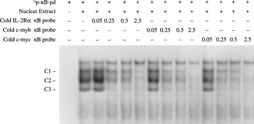 Fig. 7. Nucleotide competition assays to compare the NF-κB binding affinity of different κB sites. The indicated amounts (in picomoles) of unlabeled double-stranded oligonucleotides covering the κB sites from the IL-2Rα, c-myb, and c-mycgenes were mixed with the EMSA-reaction buffer. Nuclear extracts from day 10 BFU-E–derived cells were also added to the EMSA reaction buffer followed by the addition of 0.15 pmole (1 × 105 cpm) of the 32P-labeled κB-pd probe. The NF-κB/DNA complexes are indicated.