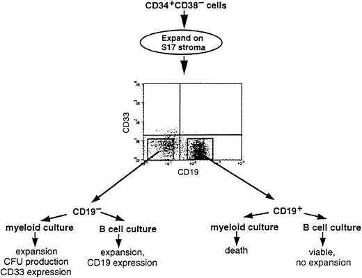 Fig. 4. Schema for switch culture assay.