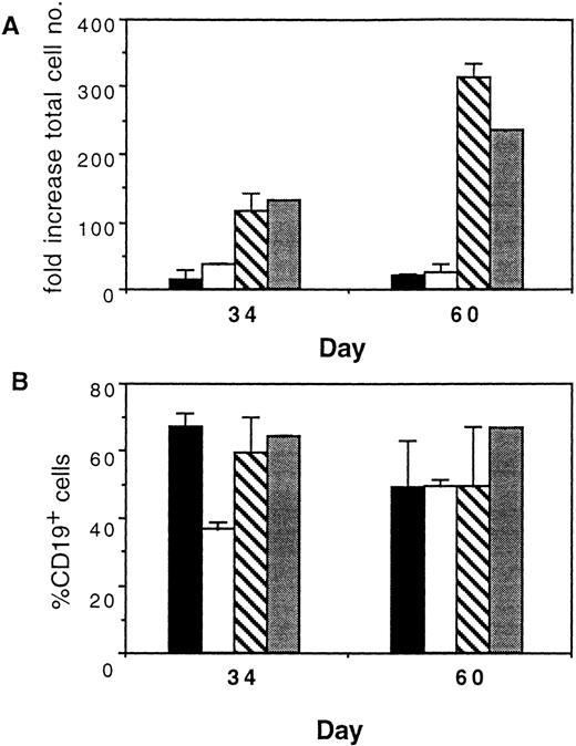 Fig. 6. B-cell potential is lost during primary culture on HS. CD34+CD38− cord blood cells were cultured for 1 week in each of the four primary culture conditions shown and then switched to BSC on S17 stroma to measure maintenance of B-cell potential. At days 34 and 60 after switching, cells were obtained from BSC, counted, and analyzed by FACS for CD19 expression. Bars shown are means (±SEM) compiled from three independent experiments. LM, lymphoid medium; MM, myeloid medium-noHC/GF (see Materials and Methods). (▪), HS/LM; (□), HS/MM; (▧), S17/LM; (▧), S17/MM.