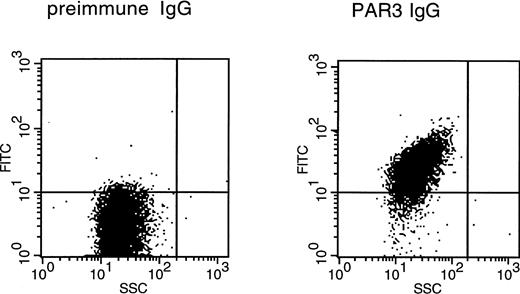 Fig. 2. Binding of PAR3 IgG to the surface of mouse platelets by flow cytometry. Washed platelets from C57BL/6J mice were incubated with preimmune or PAR3 IgG as indicated and then washed and incubated with FITC-goat antirabbit IgG. After three washes, platelets were analyzed by flow cytometry. Each figure represents an analysis of 10,000 events with SSC (side scatter) on the abscissa and FITC fluorescence intensity on the ordinate. The median FITC fluorescence intensities were 3.5 for preimmune IgG and 27.4 for PAR3 IgG. The same population of cells that bound PAR3 IgG bound antibody to the platelet marker CD41; PAR1 IgG showed no significant binding (not shown).
