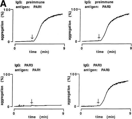 Fig. 4. Inhibitory effect of PAR3 IgG on mouse platelet responses to α-thrombin and ablation of inhibition by the peptide antigen. α-Thrombin–induced (0.5 nmol/L) platelet aggregation (A) and secretion (B) are shown. IgGs were preincubated with peptide antigens for 5 minutes at 37°C. Platelets were incubated with this mixture (final concentration of IgG, 60 μg/mL; antigen, 0.1 μmol/L) for 5 minutes at 37°C; responses were then analyzed in a lumiaggregometer. α-Thrombin was added at approximately 3 minutes (arrow). Responses were expressed as the percentage of maximum, with 100% defined as the response induced by 10 nmol/L α-thrombin in platelets incubated with preimmune IgG only. The latter had no effect on platelet responses. The data shown were replicated in two separate experiments.
