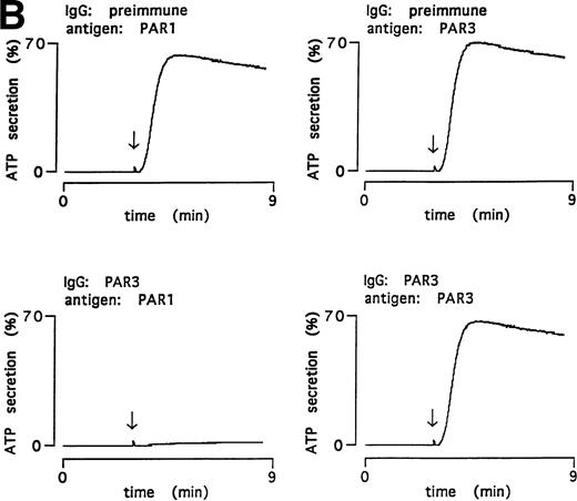 Fig. 4. Inhibitory effect of PAR3 IgG on mouse platelet responses to α-thrombin and ablation of inhibition by the peptide antigen. α-Thrombin–induced (0.5 nmol/L) platelet aggregation (A) and secretion (B) are shown. IgGs were preincubated with peptide antigens for 5 minutes at 37°C. Platelets were incubated with this mixture (final concentration of IgG, 60 μg/mL; antigen, 0.1 μmol/L) for 5 minutes at 37°C; responses were then analyzed in a lumiaggregometer. α-Thrombin was added at approximately 3 minutes (arrow). Responses were expressed as the percentage of maximum, with 100% defined as the response induced by 10 nmol/L α-thrombin in platelets incubated with preimmune IgG only. The latter had no effect on platelet responses. The data shown were replicated in two separate experiments.
