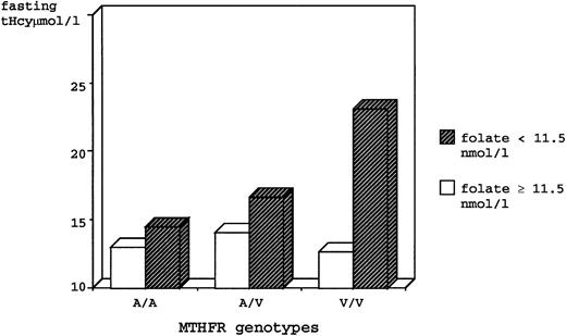 Fig. 1. Fasting tHcy for genotypes of Ala-to-Val (C677T) MTHFR mutation, stratified by low and high plasma folate levels, in the total study population.