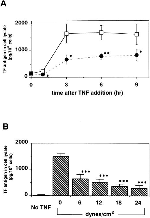Fig. 3. Effect of shear stress on TF antigen levels in cell lysate. (A) HUVECs were exposed to shear stress (18 dynes/cm2) or left static for 15 hours before and 1, 3, 6, and 9 hours after TNF-α (100 U/mL) addition, and TF antigen levels in cell lysate were measured by ELISA methods. Data represent mean ± SD of three separate experiments. *, Significantly different from static control at the same time points (P < .05, Student's t-test). **, Significantly different from static control at the same time points (P < .01, Student'st-test). (□), 0 dyne/cm2; (•), 18 dynes/cm2. (B) HUVECs were exposed to shear stress (6, 12, 18, and 24 dynes/cm2) or left static for 15 hours before and 6 hours after TNF-α (100 U/mL) addition, and TF antigen levels in cell lysate were measured by ELISA methods. Data represent mean ± SD of three separate experiments. ***, Significantly different from static control treated with TNF-α (P < .01, ANOVA-Dunnett test).