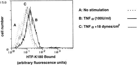 Fig. 4. Effect of shear stress on TF antigen levels on cell surface of HUVECs. HUVECs were exposed to shear stress (18 dynes/cm2) or left static for 15 hours before and 6 hours after TNF-α (100 U/mL) addition, and TF antigen levels on the cell surface were analyzed by flow cytometry using antihuman TF monoclonal antibody, HTF-K180. Representative plots from three separate experiments with essentially the same results. Profile A, nontreated cells; profile B, TNF-α–treated cells; profile C, presheared and sheared TNF-α–treated cells.