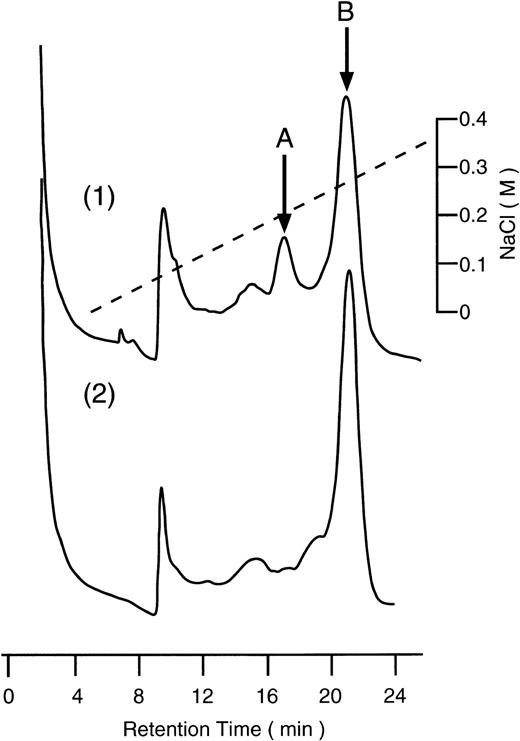 Fig. 7. Heparin affinity chromatography of β2GPI from acid-treated and UK-activated plasma. Both normal and plasminogen-depleted human plasmas were treated with acid and activated with UK as described in Materials and Methods. After the treatment with perchloric acid, sample was applied to a column of HiTrap Heparin and eluted with a linear gradient of NaCl. (1), normal plasma; (2), plasminogen-depleted plasma.