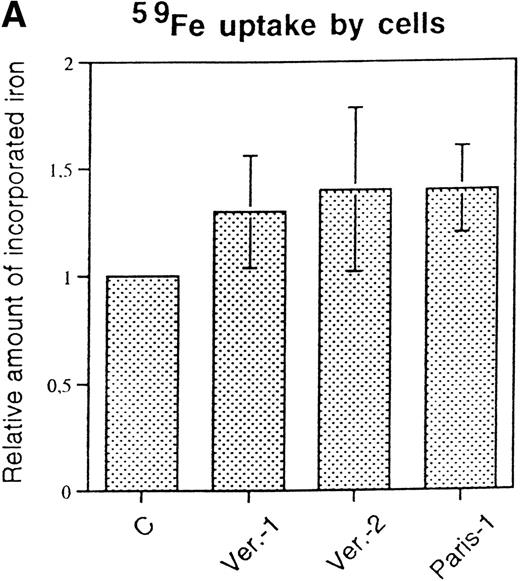 Fig. 3. 59Fe incorporation in lymphobastoid cells and ferritin. (A) Cells were incubated for 18 hours in RPMI supplemented with 10 μmol/L 59FeNTA and 200 μmol/L ascorbic acid, washed, and the radioactivity in the soluble homogenates counted. The values were normalized on the data of the control cells. Means and standard deviation (SD) of three independent experiments are shown. (B) The soluble homogenates from the same number of cells were subjected to electrophoresis under nondenaturing conditions and exposed to autoradiography. Ferritin mobility is indicated by the arrow. (C) Means and SD of densitometometric quantitation of three independent experiments, as in (B), are shown. Values normalized on the control cells.