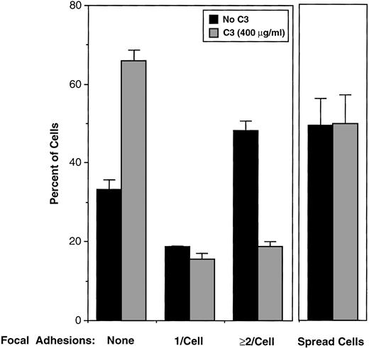 Fig. 8. Effect of RhoA inactivation by C3 exoenzyme on focal adhesion formation in fibrinogen-adherent platelets. Washed platelets were incubated for 4 hours at 37°C with vehicle buffer (“No C3”) or 400 μg/mL of C3. Cells were incubated over fibrinogen-coated coverslips and adherent cells processed for fluorescence microscopy as in Fig 7. Five hundred control and C3-treated platelets were scored as being spread or unspread, the latter defined as rounded and ≤ 5 μm in diameter. Also, 500 spread platelets in each sample were scored for focal adhesions as illustrated in Fig 7. Data represent means ± SEM of four experiments. C3 caused ADP-ribosylation of 64.4% ± 8.0% of the RhoA in this series of experiments.