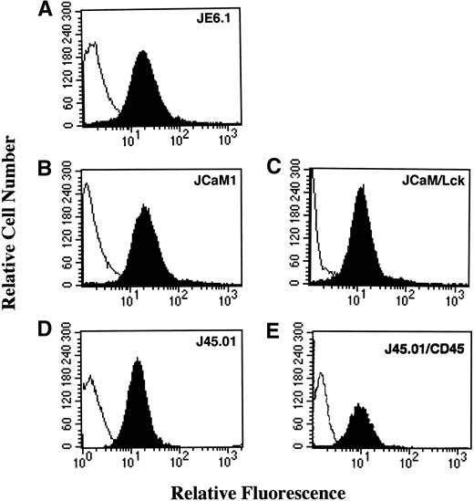 Fig. 1. Thrombin receptor expression in different Jurkat cell clones. Cells were first stained with the antihuman thrombin receptor ATAP2 MoAb (black area) or an isotype matched control antibody (white area), followed by biotinylated goat antimouse antibody and phycoerythrin-streptavidin. Stained cells were analyzed with a flow cytometer FACScan (Becton Dickinson) gated to eliminate nonviable cells.