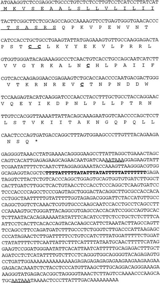 Fig. 1. Nucleic and amino acid sequence of human HCC-4. The putative signal peptide is underlined as are the two potential polyA signal sequences present in the 3′ UTR. An AU-rich element in the 3′ UTR is indicated in bold. These sequence data have been submitted to GenBank under the accession no. U91746.
