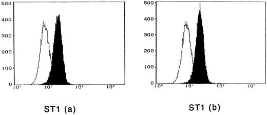 Fig. 2. Cytofluorometric analysis of the binding of IL-15 on ATL cell lines. After incubation of the cell lines with IL-15 in the absence (a) or presence (b) of 100-fold excess amount of IL-2, the cell-surface–bound IL-15 was detected by an anti–IL-15 MoAb (closed histogram). All cell lines had almost the equivalent amounts of the IL-15 binding sites, which were not inhibited by IL-2. Open hitograms indicate the cells incubated with a control MoAb.